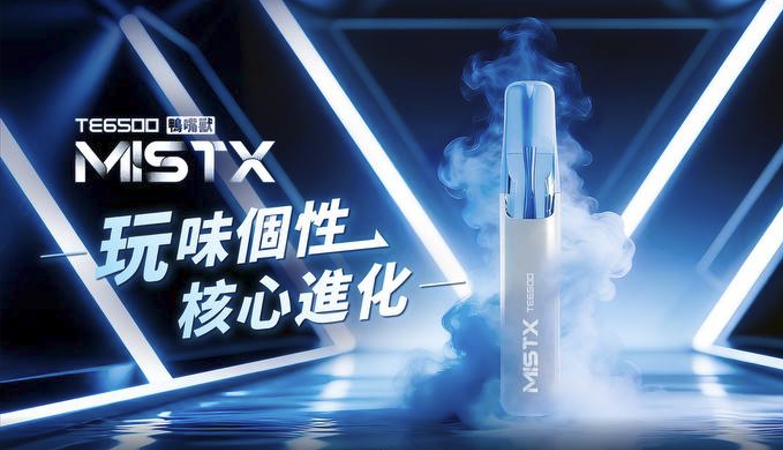 MISTX TE6500